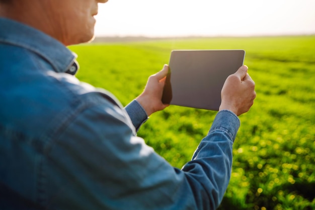 L'agricoltore con la tavoletta digitale nelle sue mani controlla le condizioni del grano giovane nel campo Rich Harvest