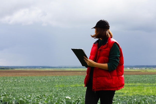 L'agricoltore controlla la qualità del raccolto di cavolo agronomo femminile in agricoltura