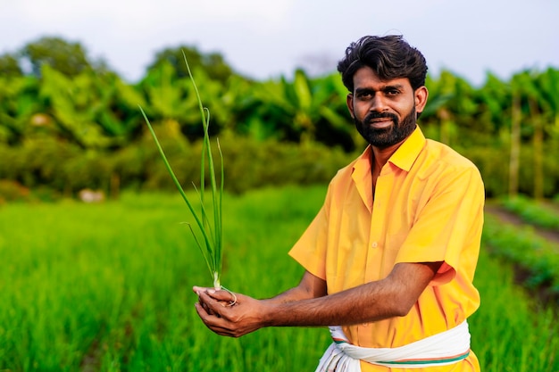 L'agricoltore indiano tiene in mano una piccola pianta di cipolla