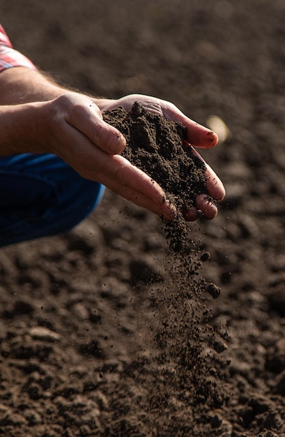 L'agricoltore maschio nel campo controlla il suolo Fuoco selettivo