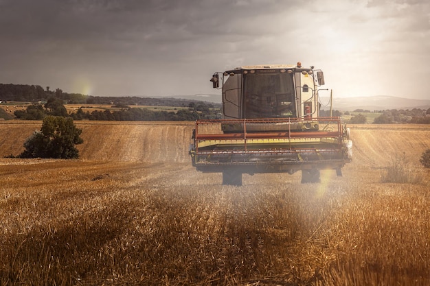 l'agricoltore raccoglie il suo campo con un trattore con un sole splendente sullo sfondo e la paglia in primo piano