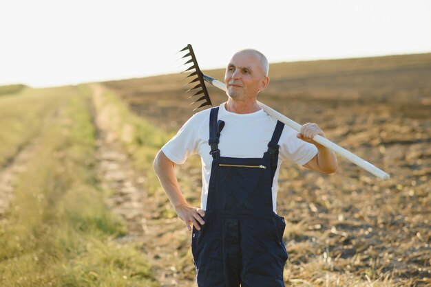 L'agricoltore senior si trova in un campo con un rastrello