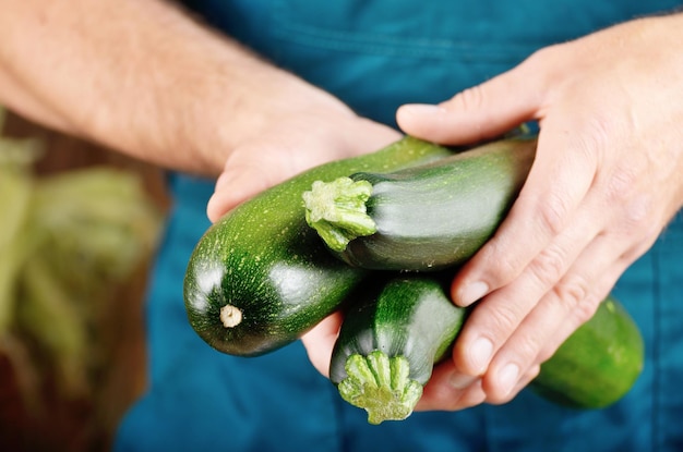 L'agricoltore tiene in mano zucchine biologiche fresche Concetto di raccolto vegetale