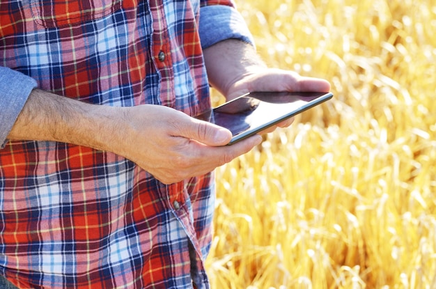 L'agricoltore utilizza il suo tablet pc pronto per il campo di grano raccolto