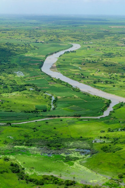 L'agricoltura avanza e ripulisce la foresta ripariale del fiume Paraiba a Sobrado Paraiba in Brasile