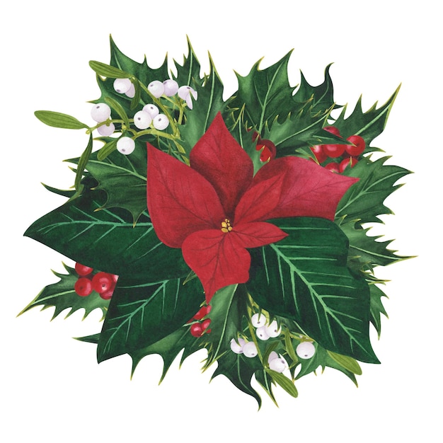 L'agrifoglio di Natale lascia le bacche Poinsettia Vischio isolato Illustrazione di Natale disegnata a mano ad acquerello Arte per il design