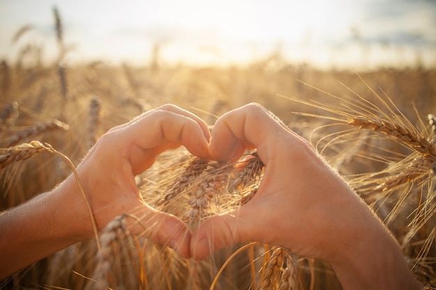 L'agronomo controlla la qualità del raccolto