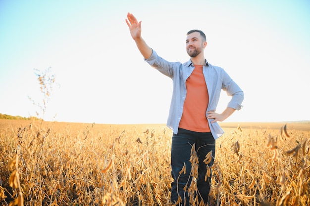 L'agronomo ispeziona il raccolto di soia nel campo agricolo Agro concept agricoltore nella piantagione di soia in azienda