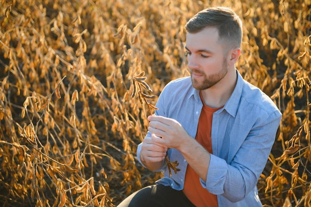 L'agronomo ispeziona il raccolto di soia nel campo agricolo Agro concept agricoltore nella piantagione di soia in azienda