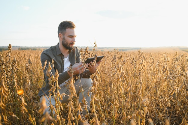 L'agronomo ispeziona il raccolto di soia nel campo agricolo Agro concept agricoltore nella piantagione di soia in azienda