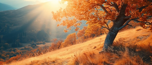 L'alba dorata d'autunno sulla serena collina