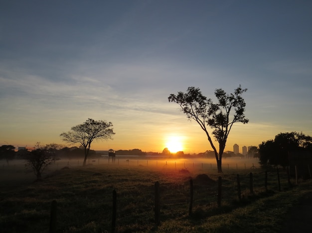 L'alba e la rugiada del mattino