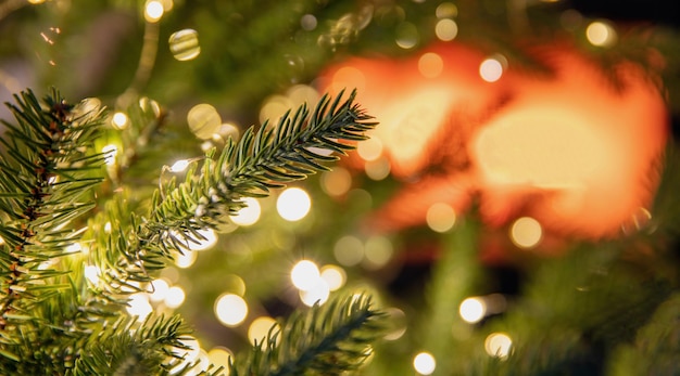 L'albero di Natale e le luci si chiudono sul fondo bruciante del camino
