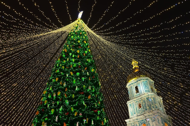 L'albero di Natale si illumina sulla piazza della città Illuminazione notturna serale