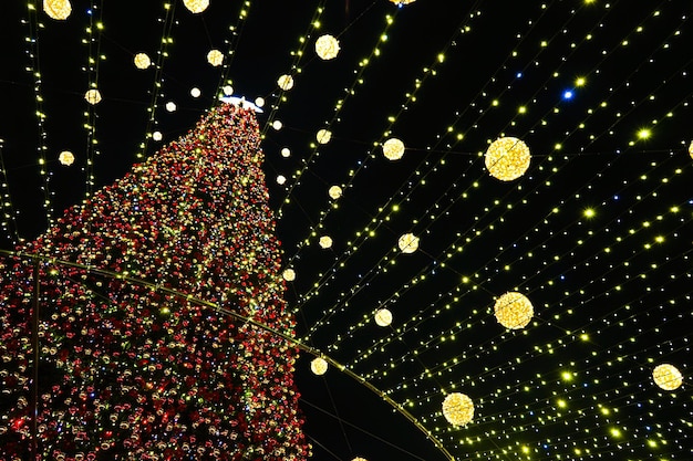 L'albero di Natale si illumina sulla piazza della città Illuminazione notturna serale