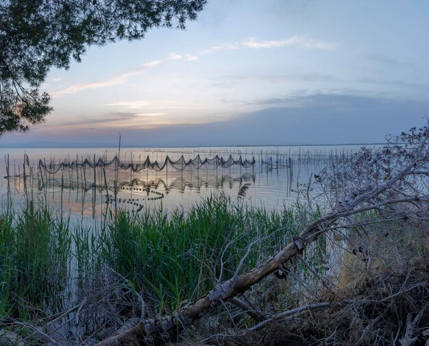 l'Albufera de Valencia ci offre una moltitudine di scene, atmosfere, sfumature e colori