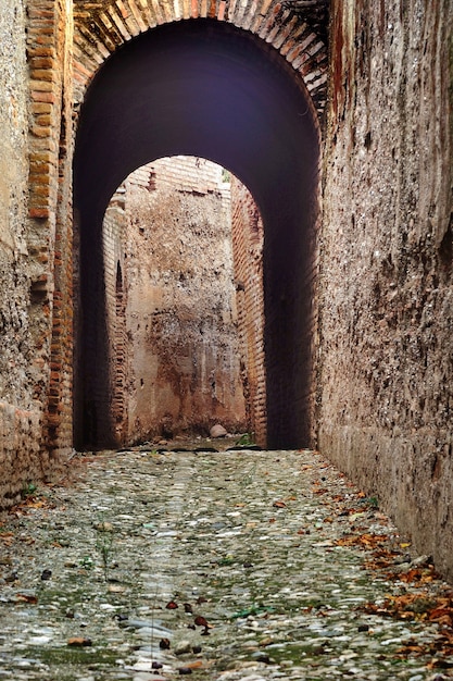 L'Alhambra di Granada. Complesso monumentale Nazari