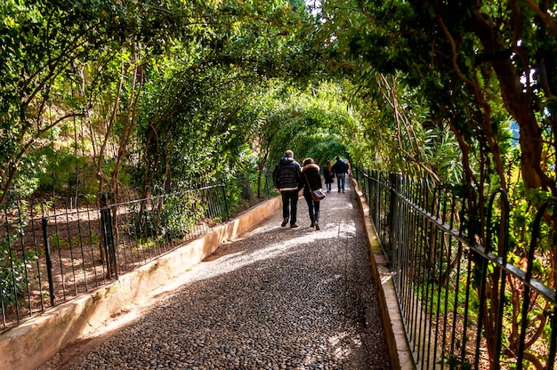 L'Alhambra di Granada Spagna Passeggia tra i suoi parchi e giardini