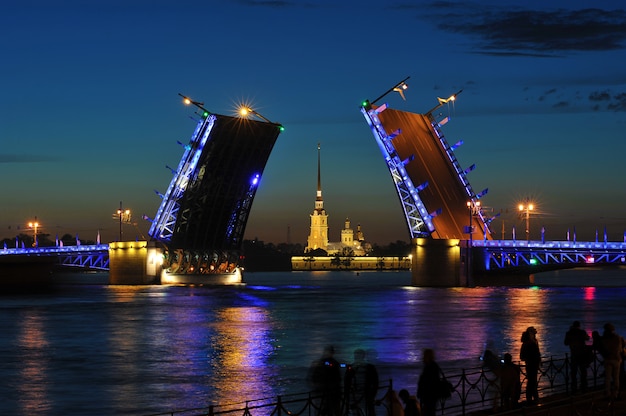 L'allevamento del ponte del palazzo. Notti bianche a San Pietroburgo, Russia