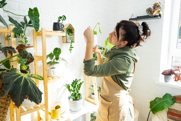 L'allevatrice di piante donna esamina e ammira le piante domestiche in un vaso della sua collezione a casa sugli scaffali Ricerca di parassiti cura irrigazione fertilizzanti Produzione di colture domestiche