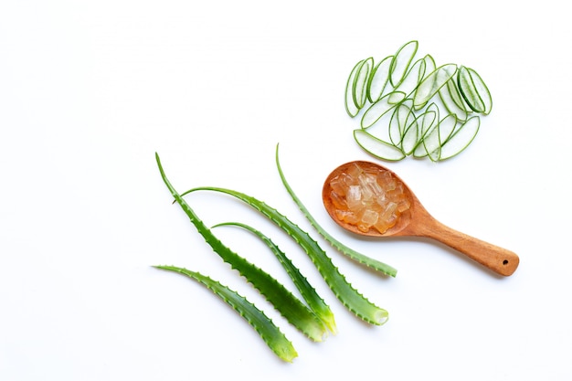 L'aloe vera è una pianta medicinale popolare per la salute e la bellezza, sfondo bianco.