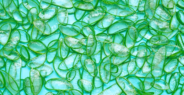 L'aloe vera è una pianta medicinale popolare per la salute e la bellezza.