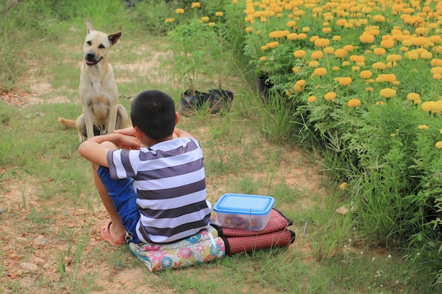 L'amicizia tra un ragazzo e un cane randagio nel giardino fiorito.