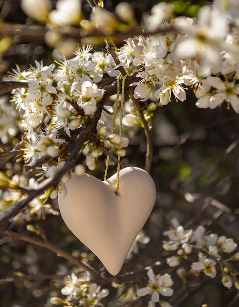 L'amore è ovunque, l'amore nella natura