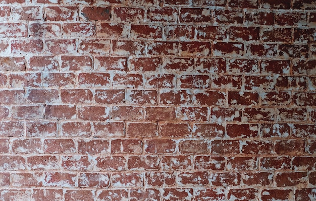 L&#39;ampio fondo rosso di lerciume di struttura del muro di mattoni, può usare all&#39;interior design.