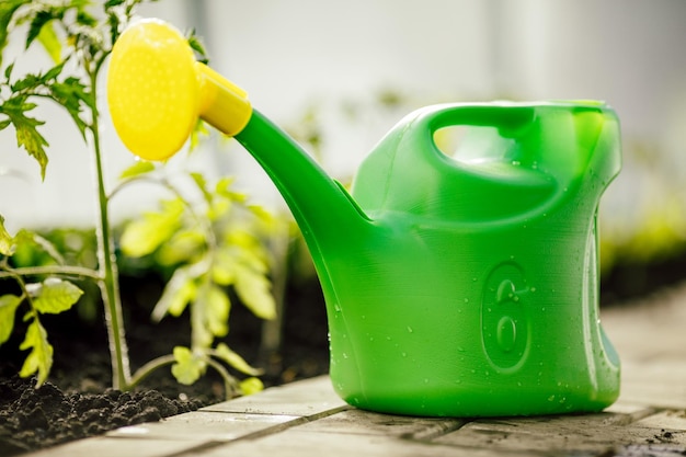 L'annaffiatoio di plastica verde viene utilizzato per l'irrigazione Concetto di giardinaggio e agricoltura