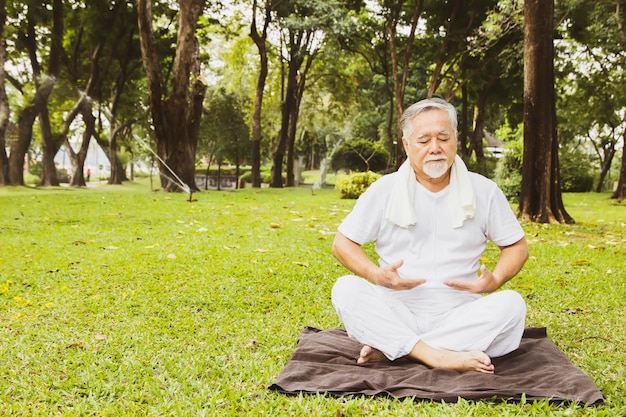 L'anziano asiatico in pensione della vita quotidiana è sano con l'esercizio quotidiano e il giardino ombreggiato di meditazione