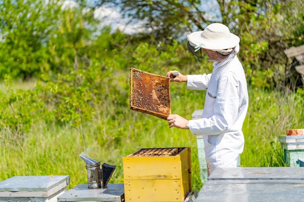 L'apicoltore maschio sta lavorando con le api e gli alveari sull'apiario Cornici di un concetto di apiario dell'alveare