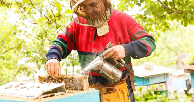 L'apicoltore sta lavorando con api e alveari sull'apiario. Apicoltore sull'apiario.