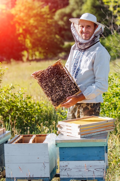 L'apicoltore sta lavorando con le api e gli alveari sull'apiario L'apicoltore sull'apiario