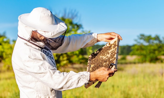 L'apicoltore sta lavorando con le api e gli alveari sull'apiario L'apicoltore sull'apiario