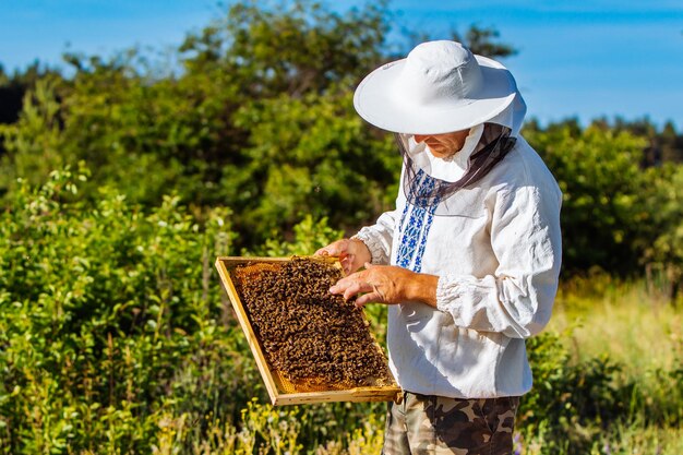 L'apicoltore sta lavorando con le api e gli alveari sull'apiario L'apicoltore sull'apiario