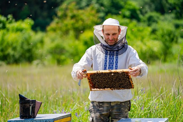 L'apicoltore sta lavorando con le api e gli alveari sull'apiario