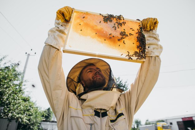 L'apicoltore tiene una cella di miele con le api nelle sue mani Apicoltura Apiario Api da lavoro sul favo di miele Favo con miele e api primo piano