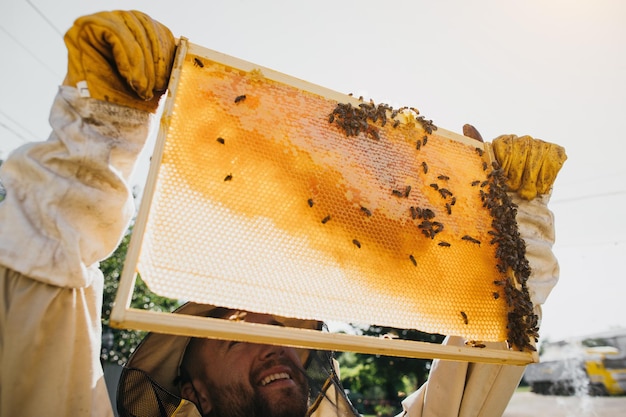 L'apicoltore tiene una cella di miele con le api nelle sue mani Apicoltura Apiario Api da lavoro sul favo di miele Favo con miele e api primo piano
