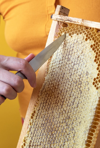 L'apicoltore tiene una cornice di favi. Miele fresco. Prodotto biologico naturale delle api. Vita sana