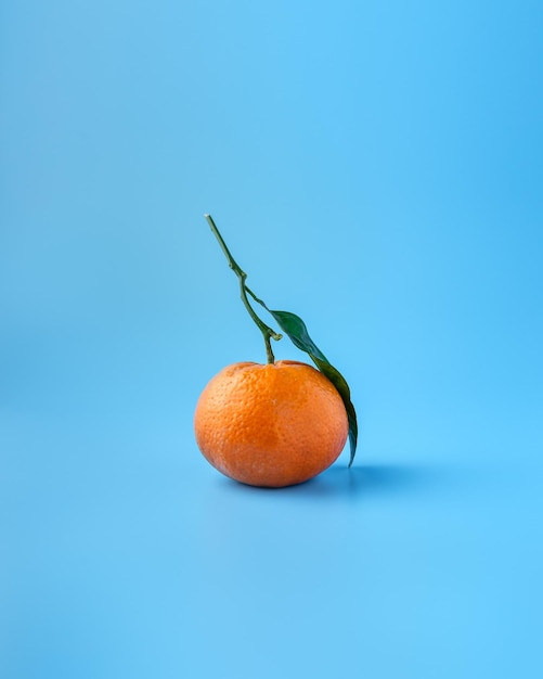 L'arancione per le persone che hanno bisogno di foto modificabili