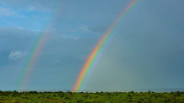 L'arcobaleno su un campo dopo il temporale