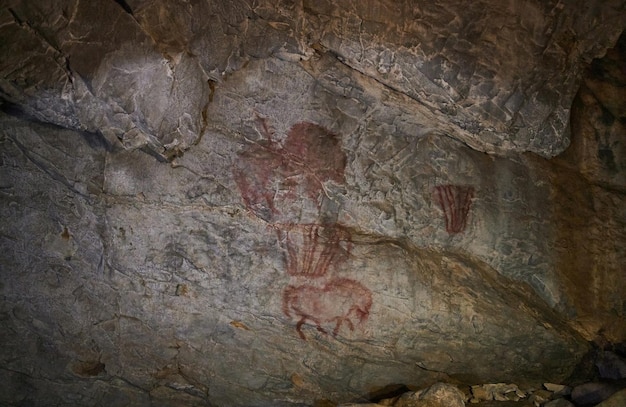 L'arte rupestre o le pitture rupestri sono le espressioni artistiche dei primi esseri umani preistorici e storici In India sono per lo più disponibili sotto forma di schizzi e dipinti su rocce di arenaria