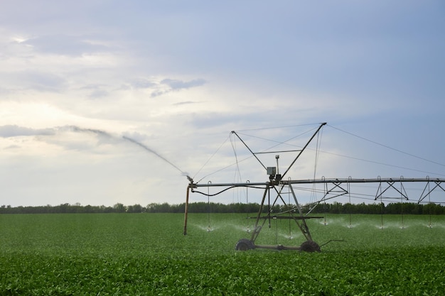 L'attrezzatura per l'irrigazione delle piante lavora un campo verde in una giornata calda