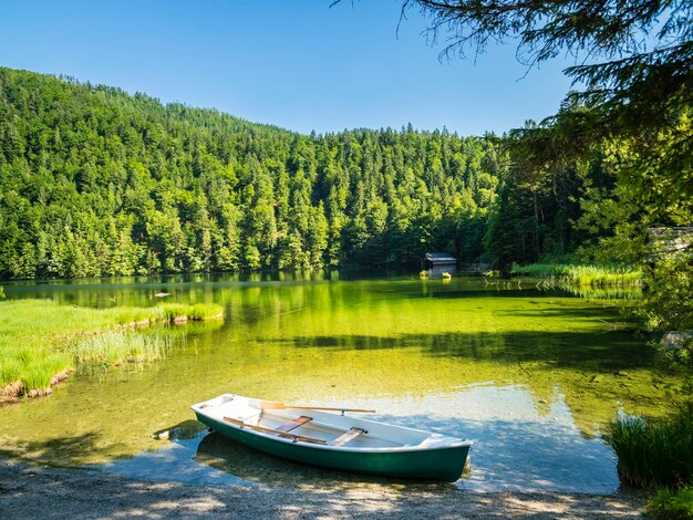 L'Austria, la Stiria, Salzkammergut, Ausseer Land, Goessl, Lago Toplitz, barca a remi