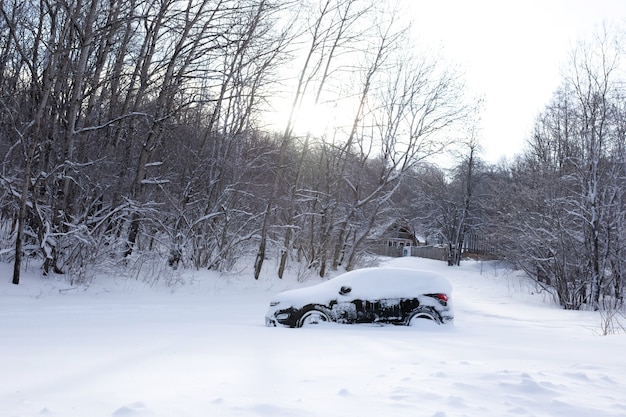 L'auto è nella foresta tutta cosparsa di neve in inverno. Raffreddamento globale. Apocalisse di neve.