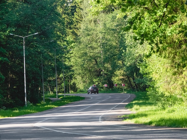 L'automobile guida sull'autostrada di bobina in una foresta dell'estate