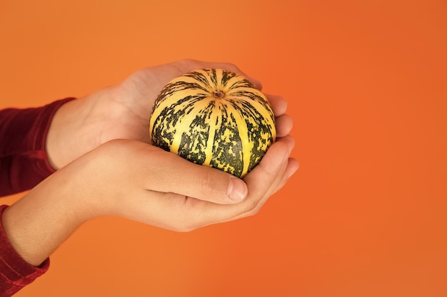 L'autunno è tempo di feste Piccola zucca in mano Tradizionale verdura autunnale sfondo arancione Cibo di Halloween e del Ringraziamento Raccolto autunnale Per la decorazione autunnale