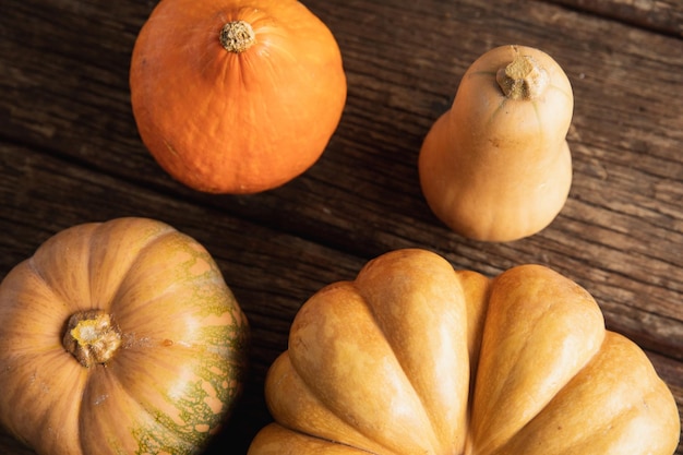 L'autunno era piatto con le zucche