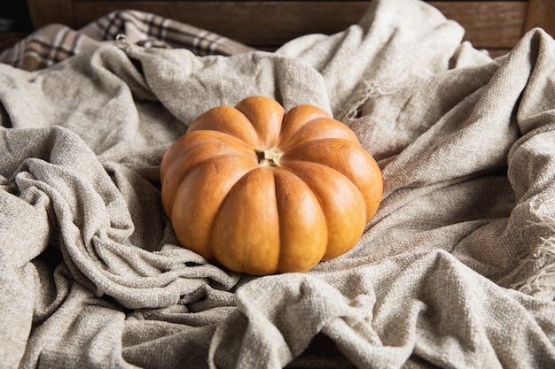 L'autunno era piatto con le zucche